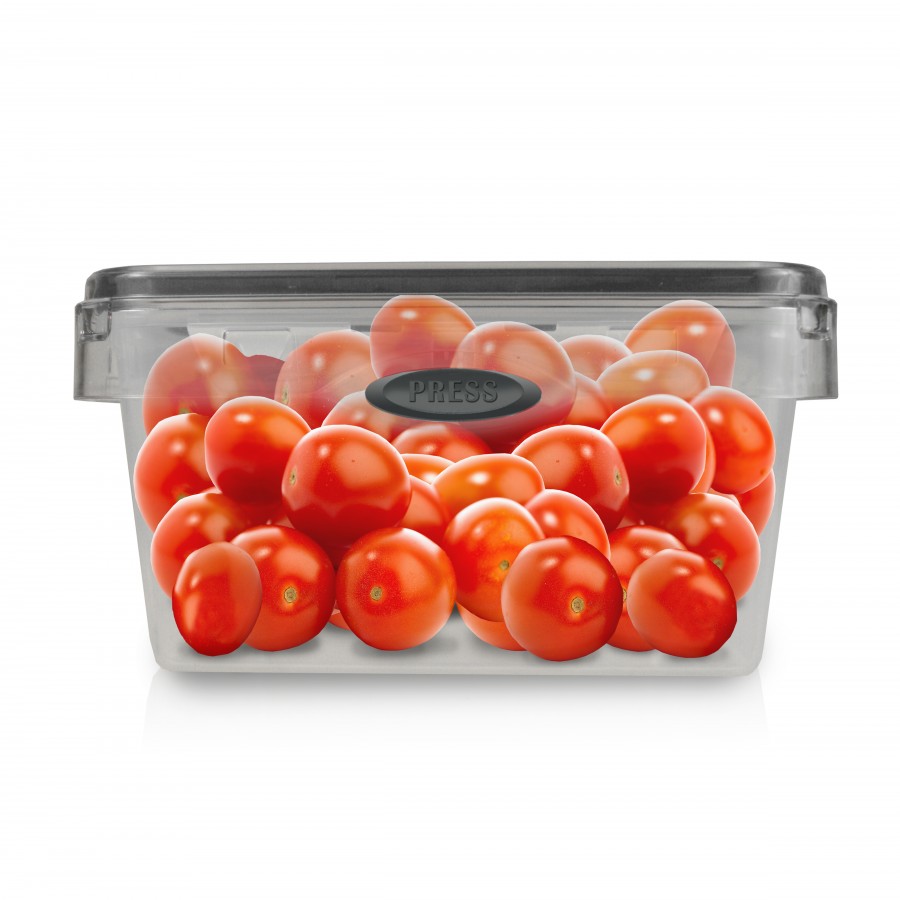 4.9 Cup Square Press N' Click Food Storage