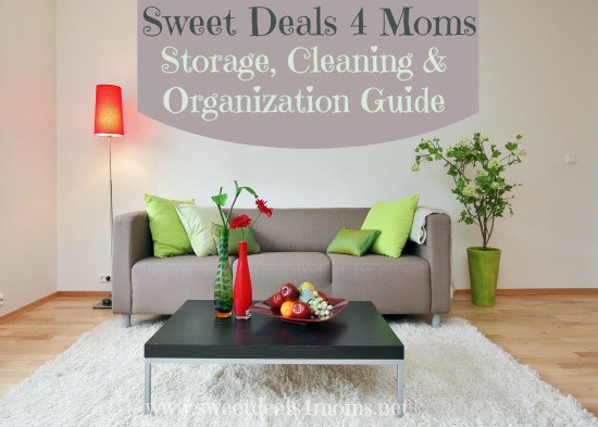 Storage Cleaning Organization Guide